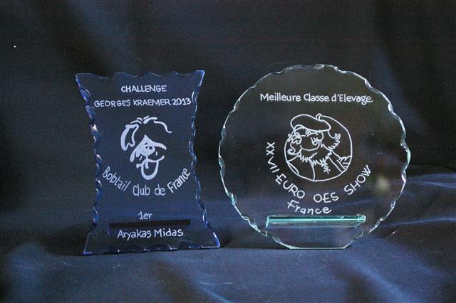 Gravure de trophées en verre d'après le logo du club